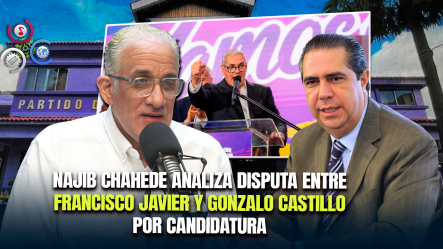 “En Este Momento, La Estructura Política Más Fuerte, Compacta Y Contundente Que Hay En El PLD Es La De Gonzalo Castillo”