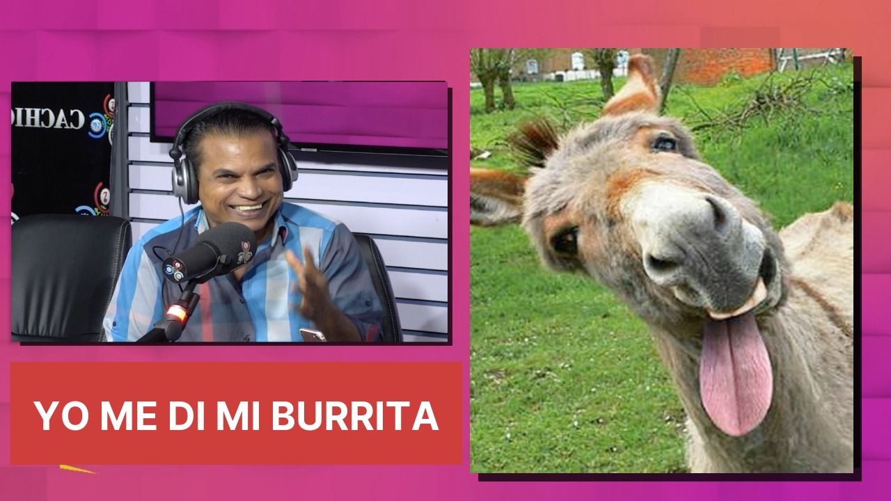 ¡En Exclusiva! Mamola Revela Que Durante Su Infancia Estuvo Con Una Burra