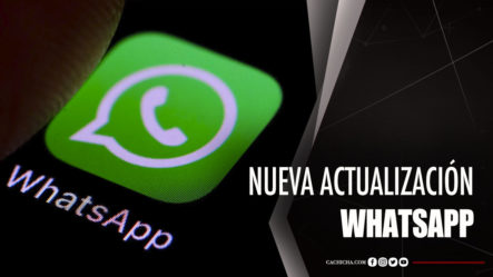 ¿En Qué Afecta La Nueva Actualización De Whatsapp?