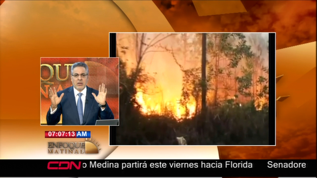 Hoy Se Celebra El Día Mundial De La Foresta, “En Nuestro País Se Celebra Con La Desaparición De Centenares De Ríos”