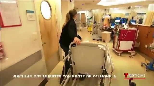 Brote De Salmonela En 48 Estados De EE.UU