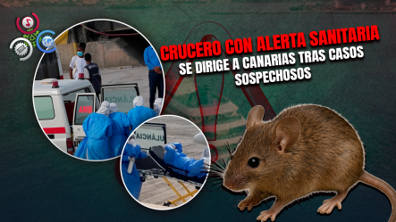 Evacúan Tripulantes De Crucero Por Casos De Hantavirus; OMS Llama A La Calma
