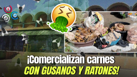 Exigen Intervención Inmediata Al Mercado Nuevo De Moca Por Venta De Alimentos Descompuestos