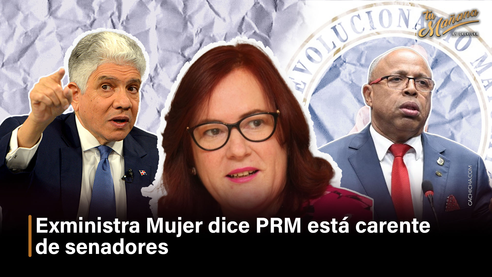 Exministra De La Mujer Dice PRM Está Carente De Senadores
