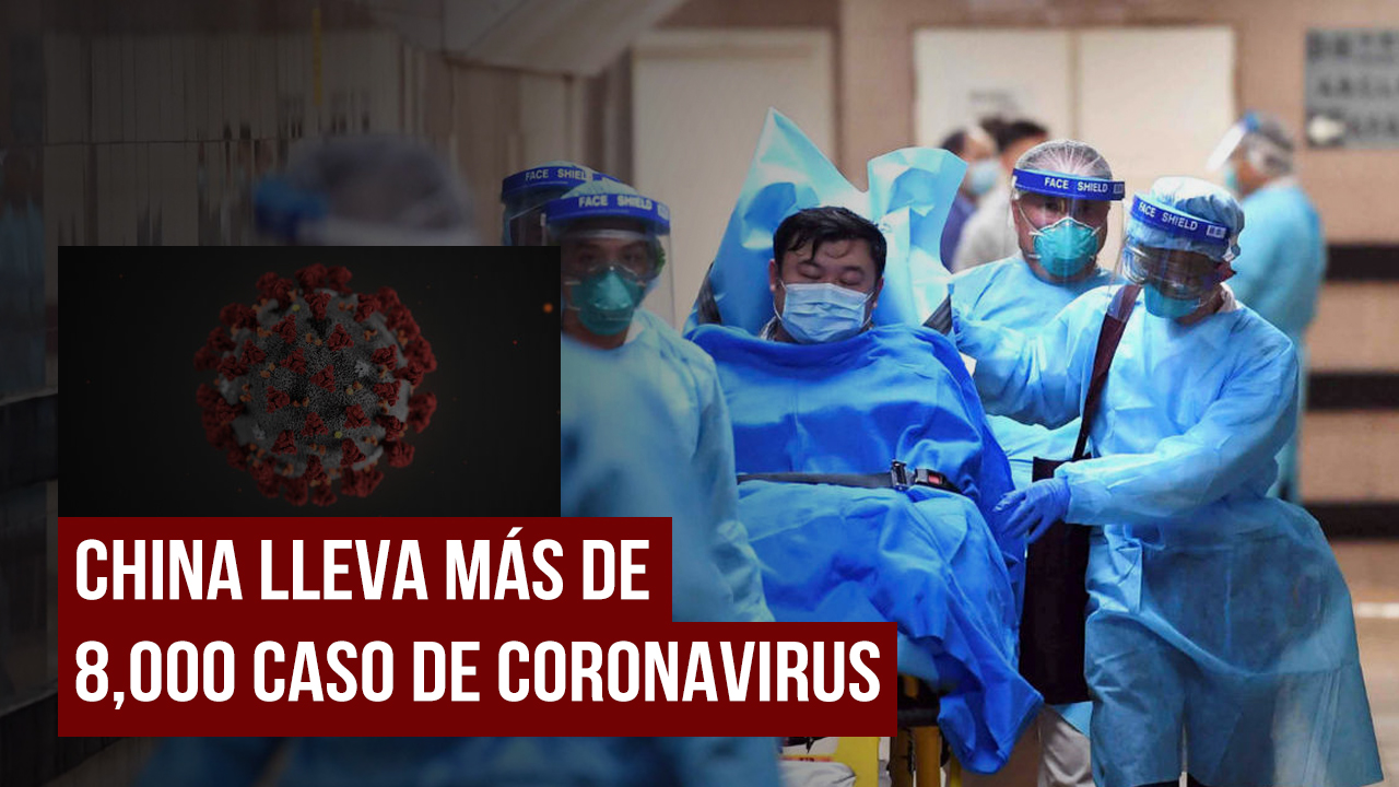 Experta Infectóloga Explica El Origen Del Coronavirus