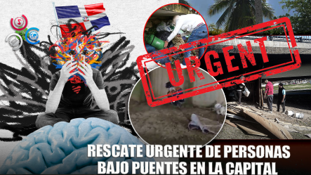 Expertos Piden Intervención Urgente Bajo Puentes Y Elevados