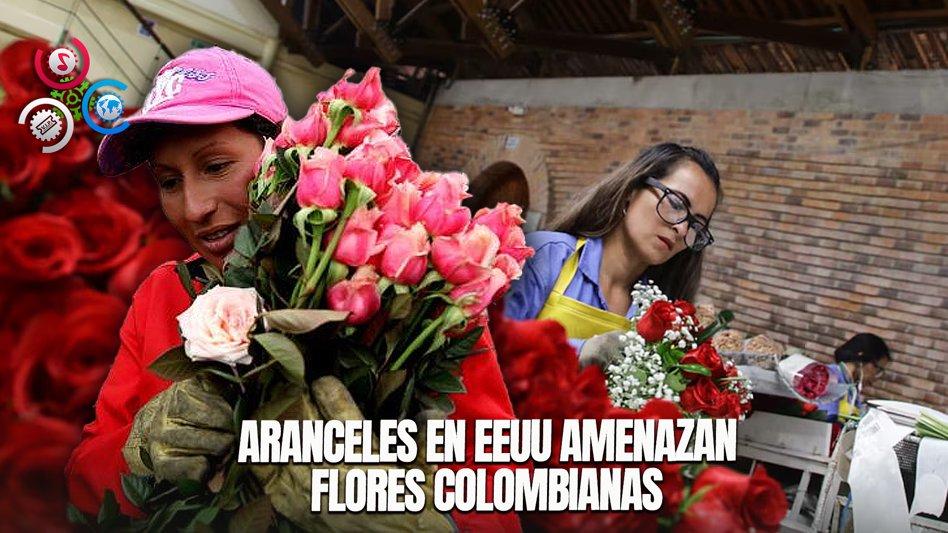 Exportadores De Flores Colombianas Alertan Impacto De Posibles Aranceles En EEUU