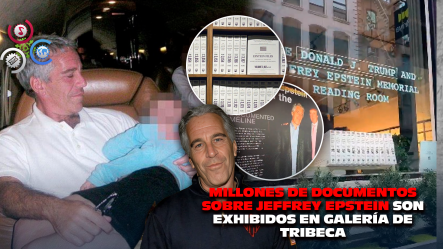 Exposición En Nueva York Muestra Toneladas De Archivos Del Caso Epstein