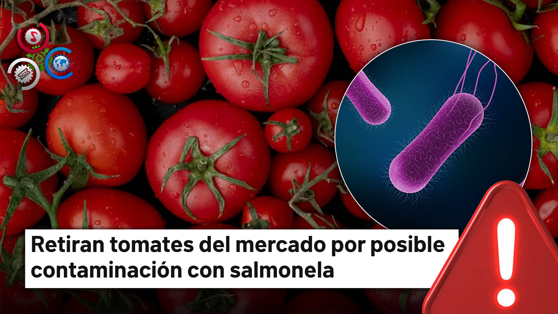 FDA Retira Tomates Por Riesgo De Salmonela En Varios Estados De EE. UU.