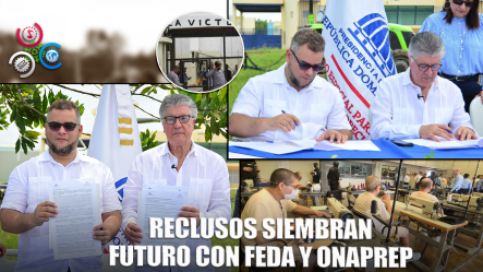 FEDA Y Onaprep Firman Acuerdo Para Capacitar A Reclusos