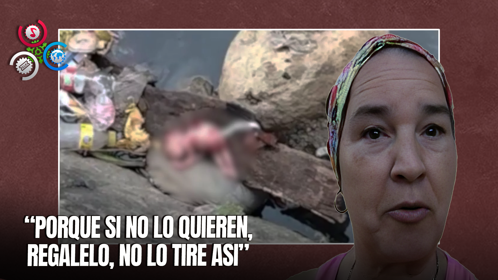 Descubren Feto En Cañada En El Sector ‘Sal Si Puedes’, En Moca