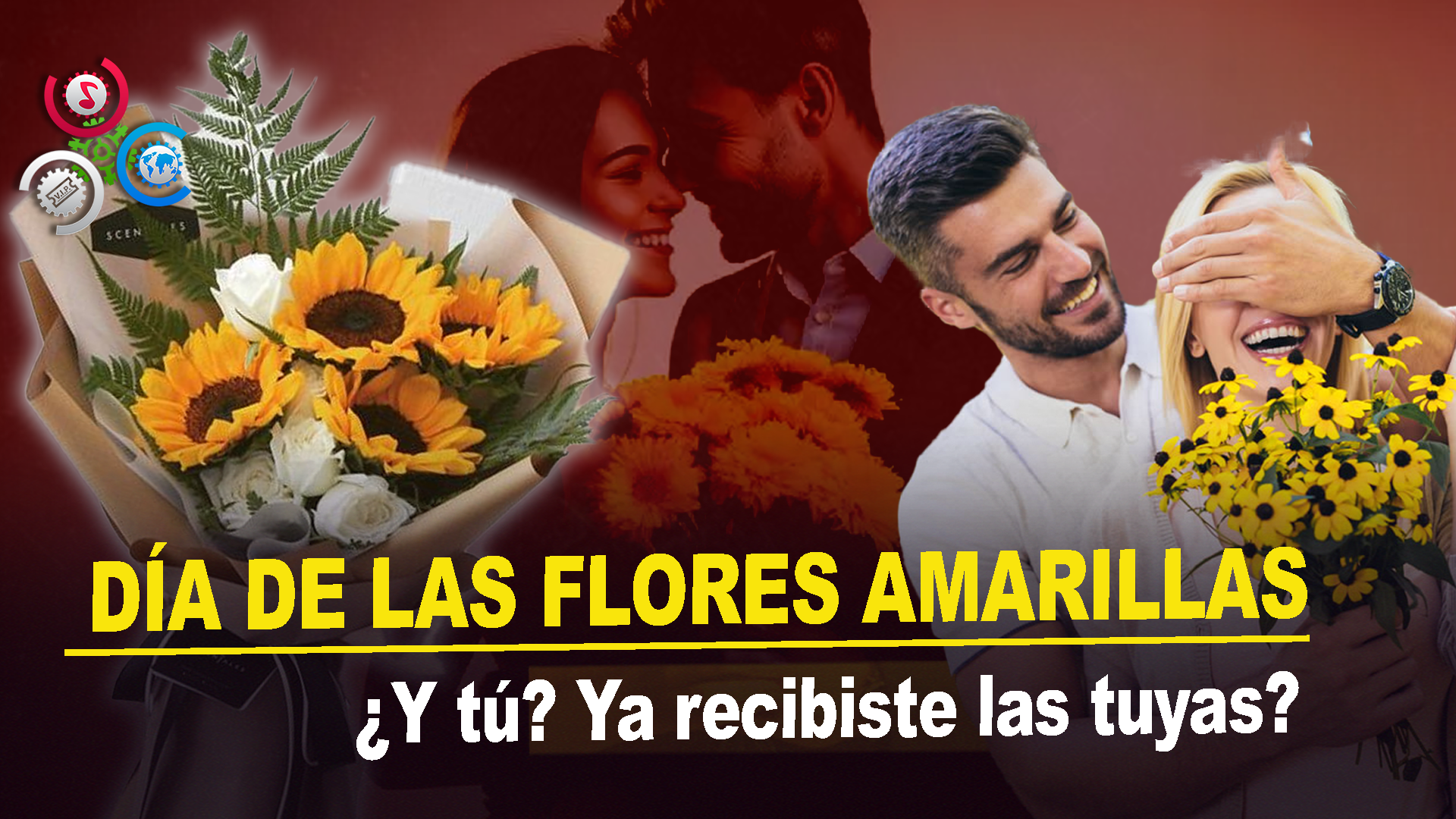 ¿Por Qué Se Regalan Flores Amarillas Cada 21 De Septiembre? Conoce Aquí Su Significado
