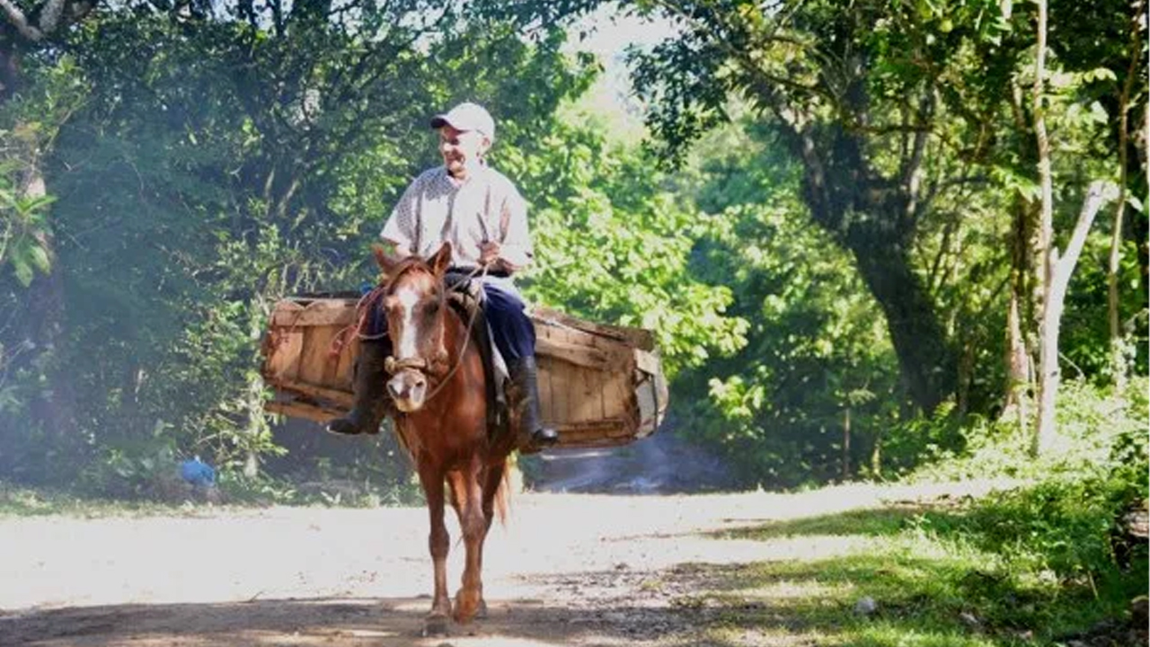 Las Palabras De Cristian Casablanca Para Las Personas Pobres