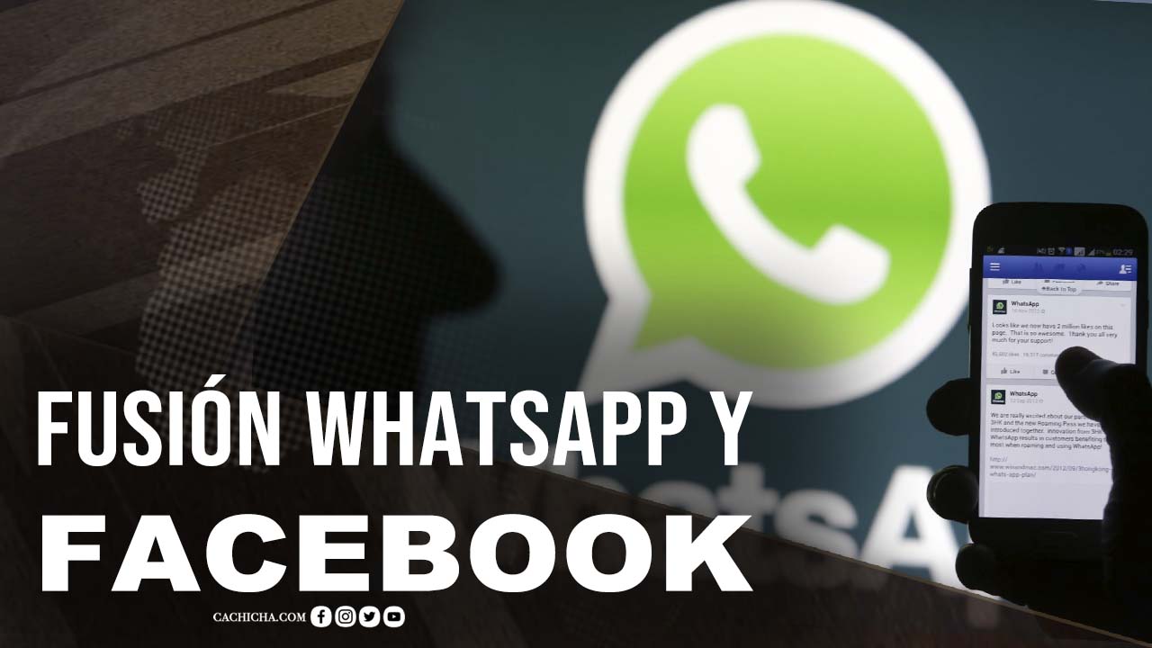 Whatsapp + Facebook: Fusión Y Consecuencias