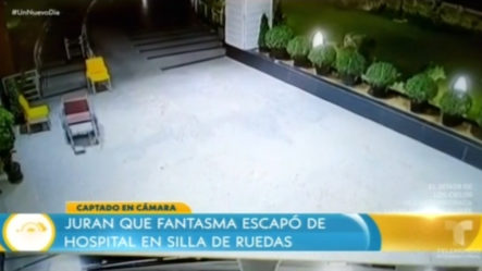 Juran Que Fantasma Escapó De Hospital En Silla De Ruedas
