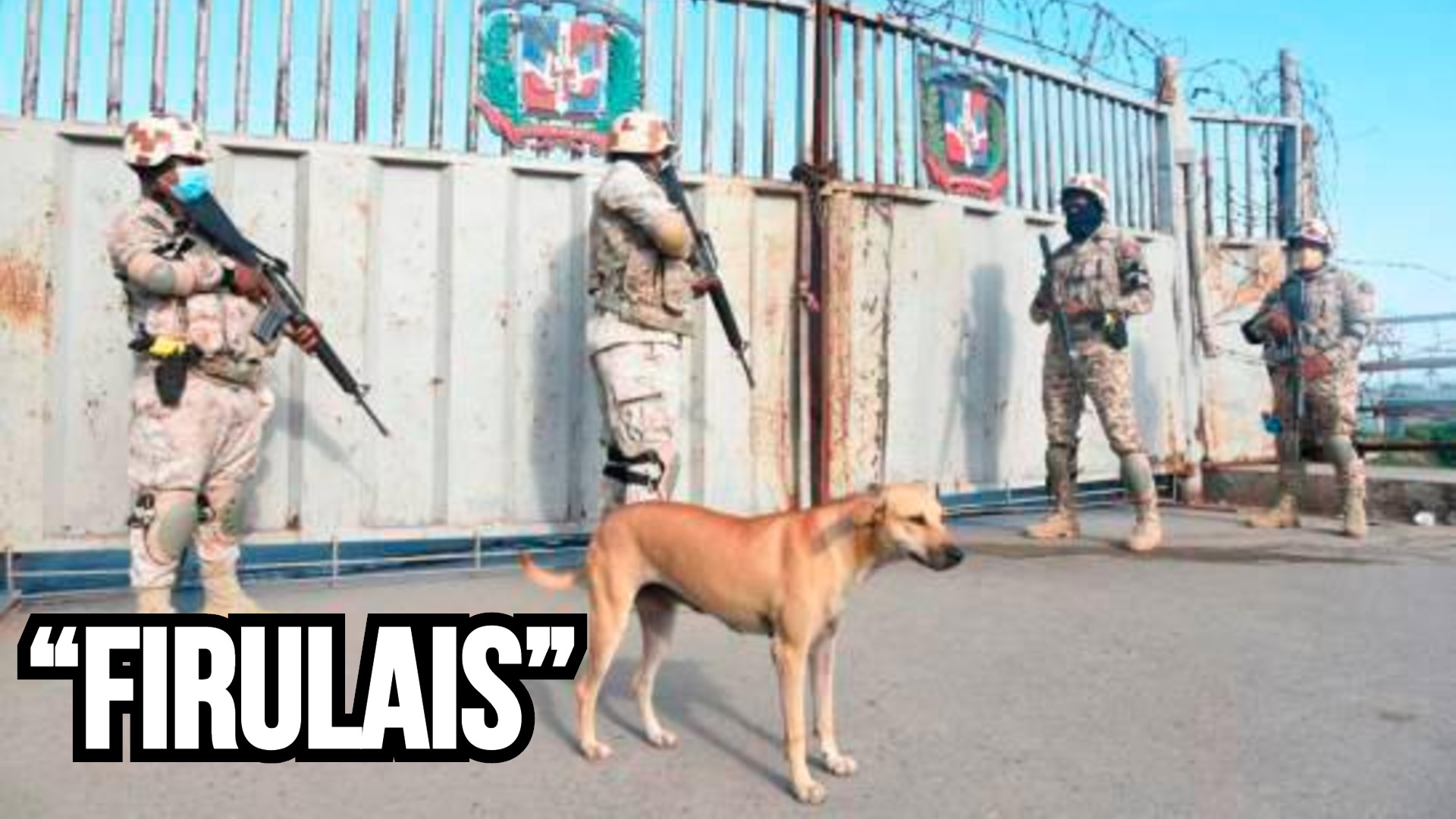 Firulais Vuelve A Ser Tendencia En RD Tras Su Aparición En La Frontera