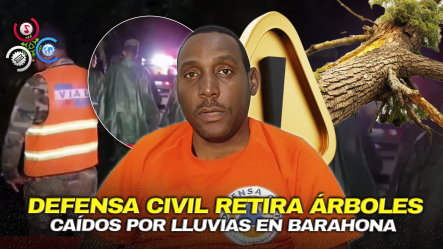 Fuertes Lluvias Afectan Barahona Y Causan Caída De árboles En Carreteras Y Zonas Urbanas”