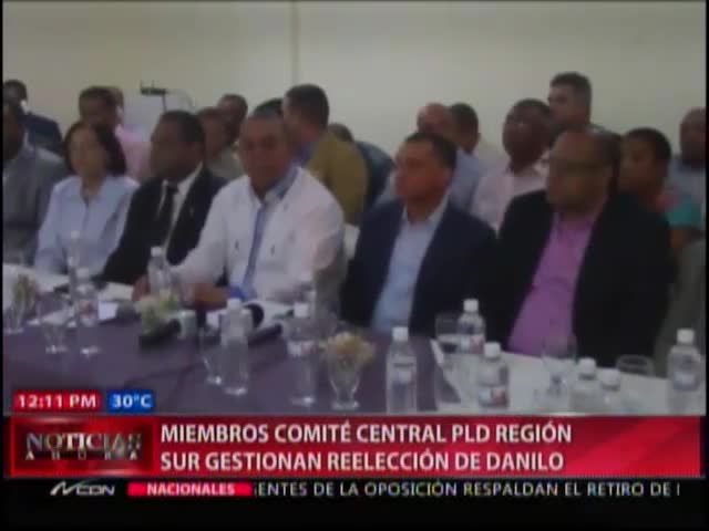 Miembros Del Comité Central PLD Gestionan Reelección De Danilo