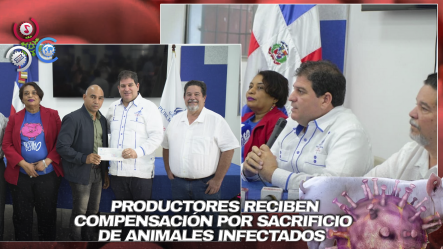 Gobierno Entrega RD$130 Millones A Porcicultores Afectados Por La Peste Porcina Africana