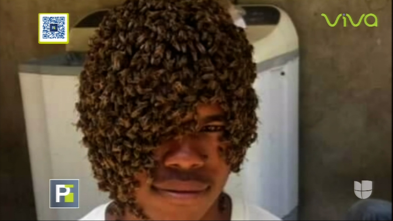 El Hombre Abeja Llega A Primer Impacto Y De Que Manera