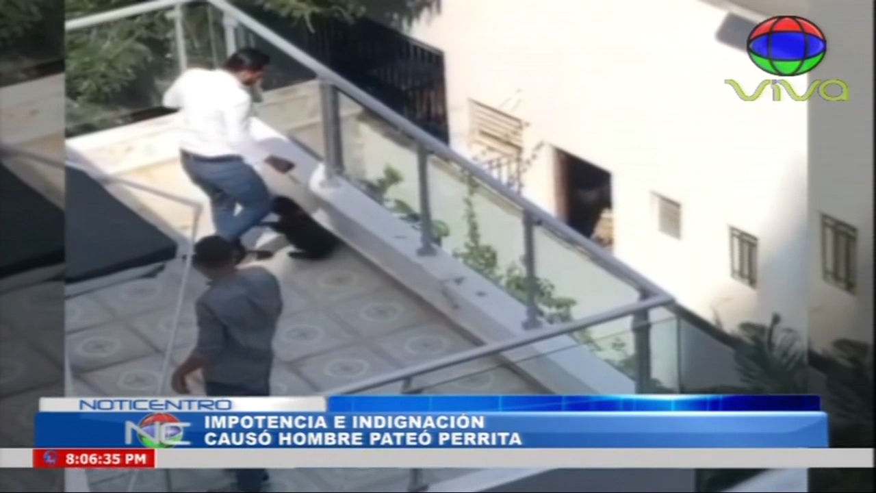 Tremendo Bobo En El Que Está Metido El “TIPO” Que Le Entró A Patadas A La Perrita