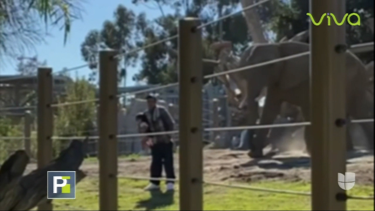 Hombre Es Multado Con 100 Mil Dólares Después De Poner En Peligro La Vida De Su Hija De Dos Años