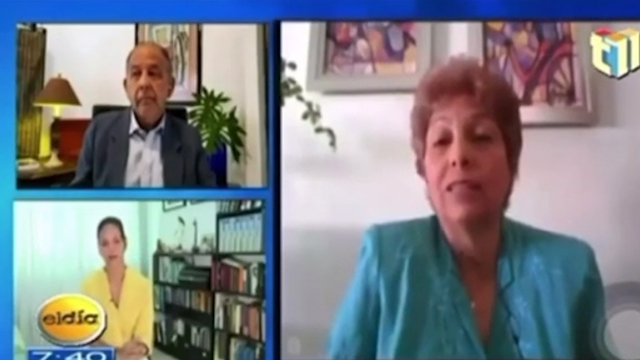 Politóloga Afirma Que Sí Los Pobres Salen A Votar El Triunfo Del PLD Está Seguro