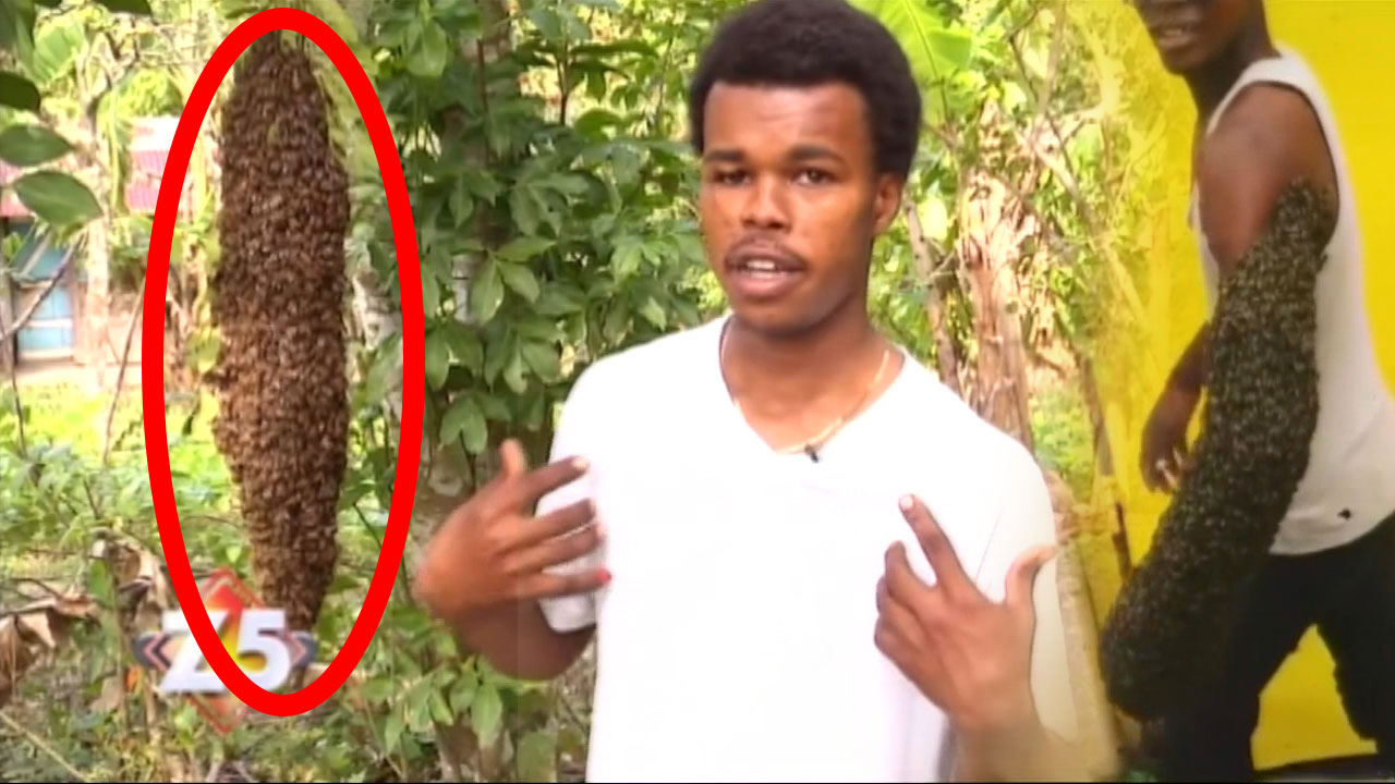 Entrevista Al ORIGINAL Hombre Abeja