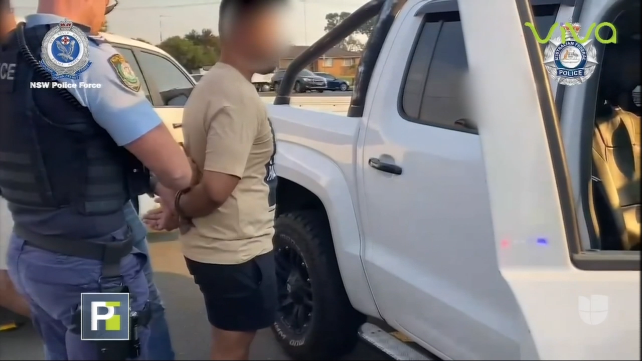 Capturan A Cientos De Mafiosos Que Fueron Engañados Por Las Autoridades Mediante Una Aplicación 