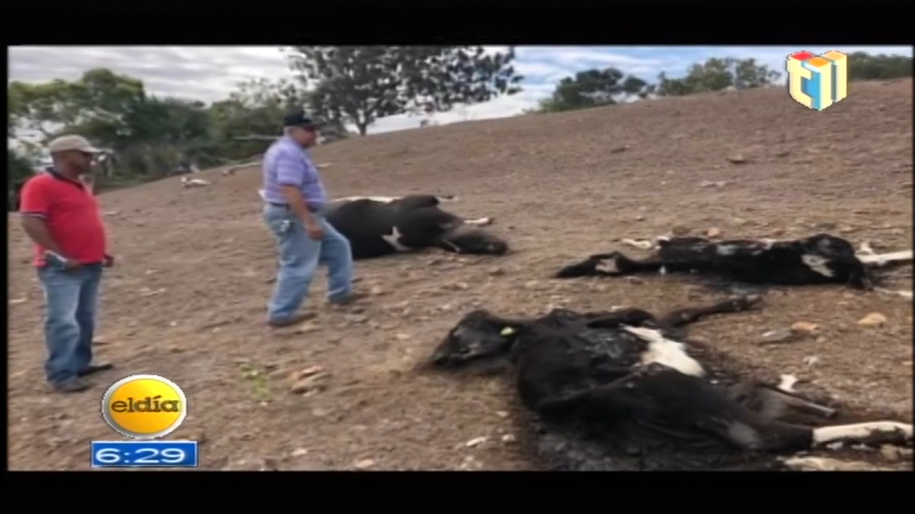 Preocupante La Sequía Que Atraviesa El Pais