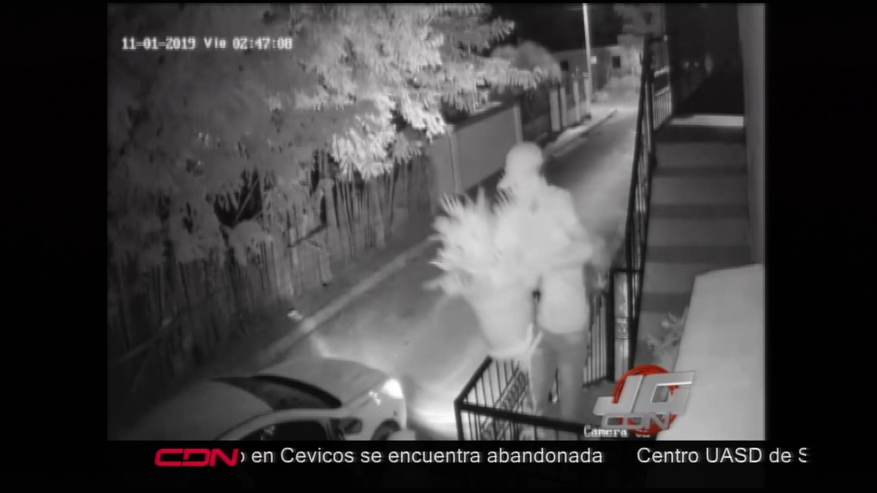 Captado En Cámara Unos Ladrones Robándose Una Mata De Una Casa