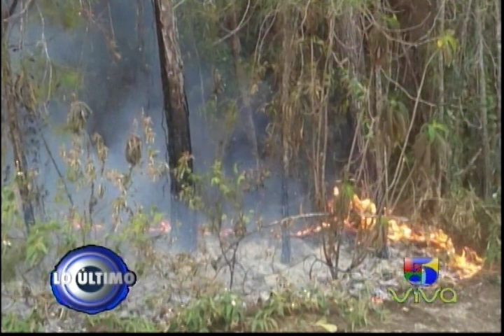 Atribuyen A Manos Criminales Quienes Incendiaron La Sierra Bahoruco