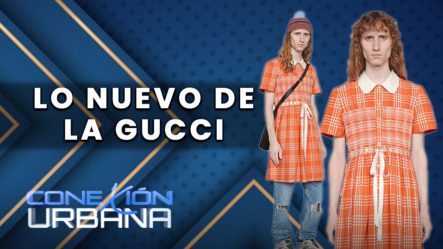 Lo Nuevo De La Marca Gucci | Conexión Urbana