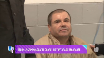 Según La Criminóloga “EL Chapo” No Tratará De Escaparse