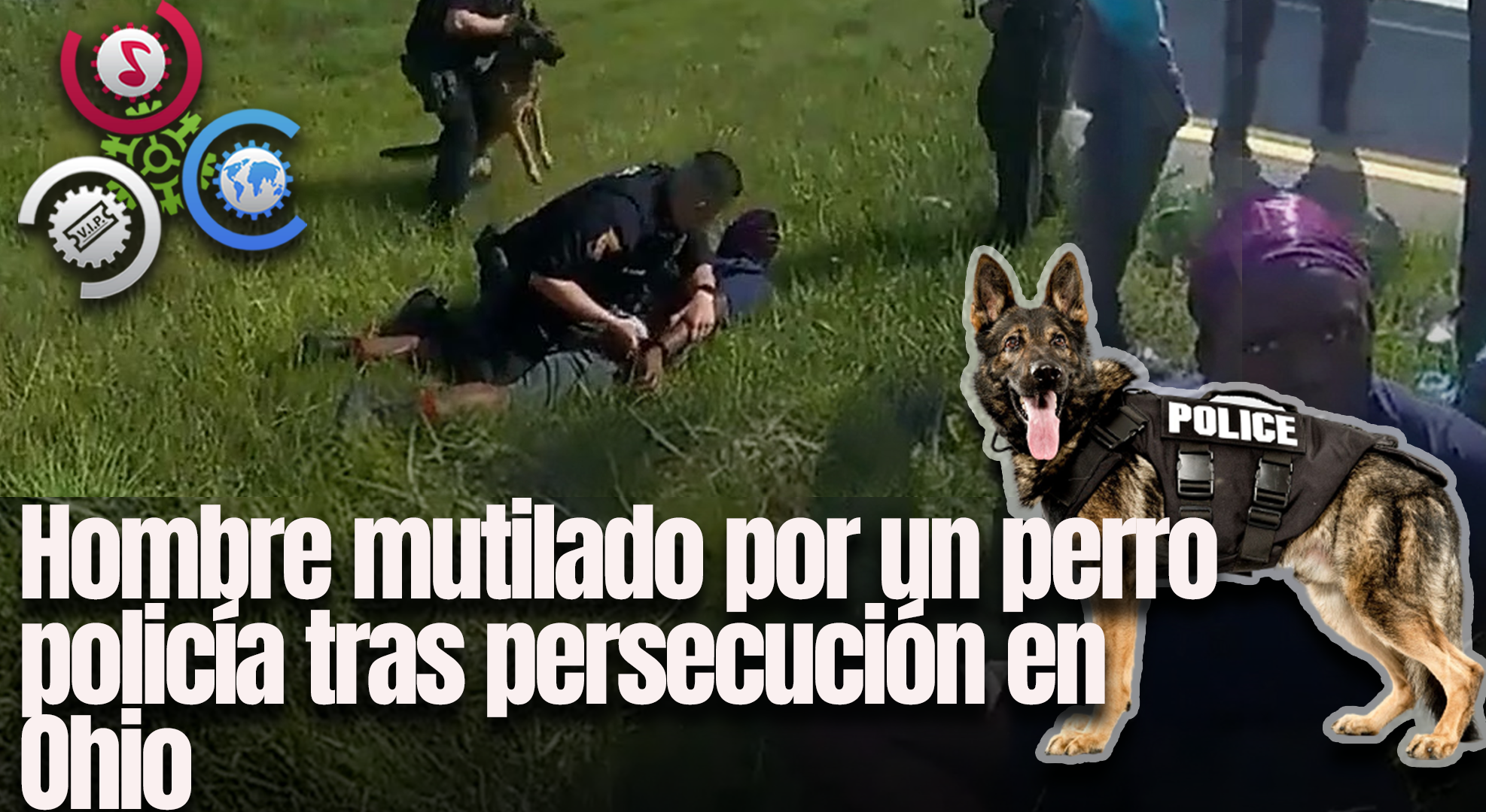 Hombre Mutilado Por Un Perro Policía Tras Persecución En Ohio