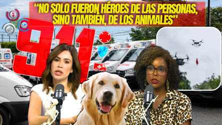 “Hay Que Resaltar El Trabajo Del 911, Hasta Para Los Animales Fueron Héroes En Medio De La Tormenta”