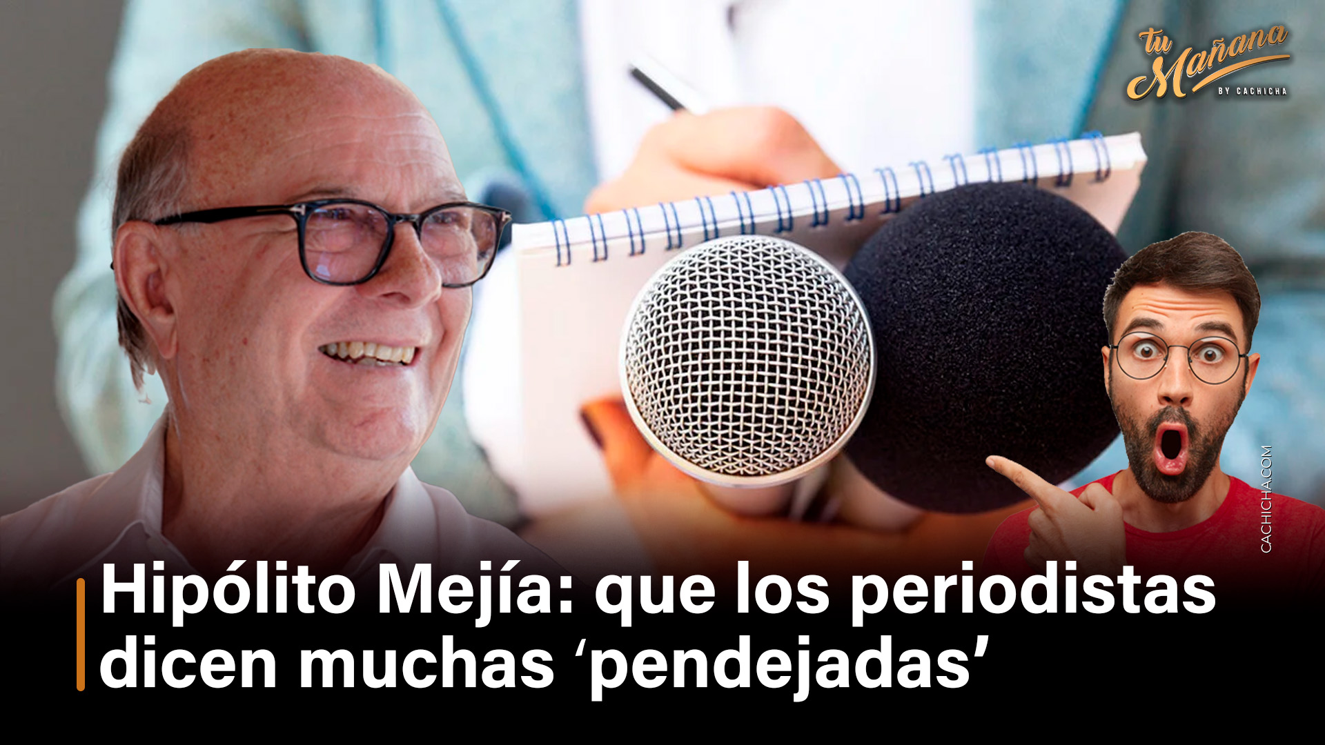 Hipólito Mejía: Los Periodistas Dicen Muchas “pendejadas”