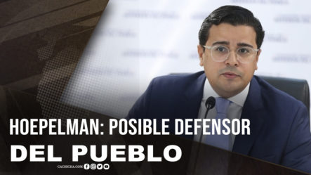 Los Planes Del Posible Defensor Del Pueblo, José Hoepelman