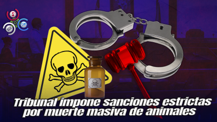 Hombre Es Condenado A Un Año De Prisión Por Envenenar Decenas De Animales En La Romana