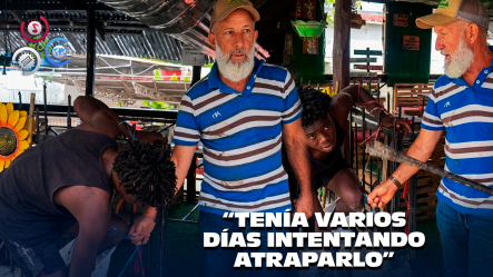 Hombre Sorprende A Ciudadano Haitiano Robando Saco De Aguacates En Moca