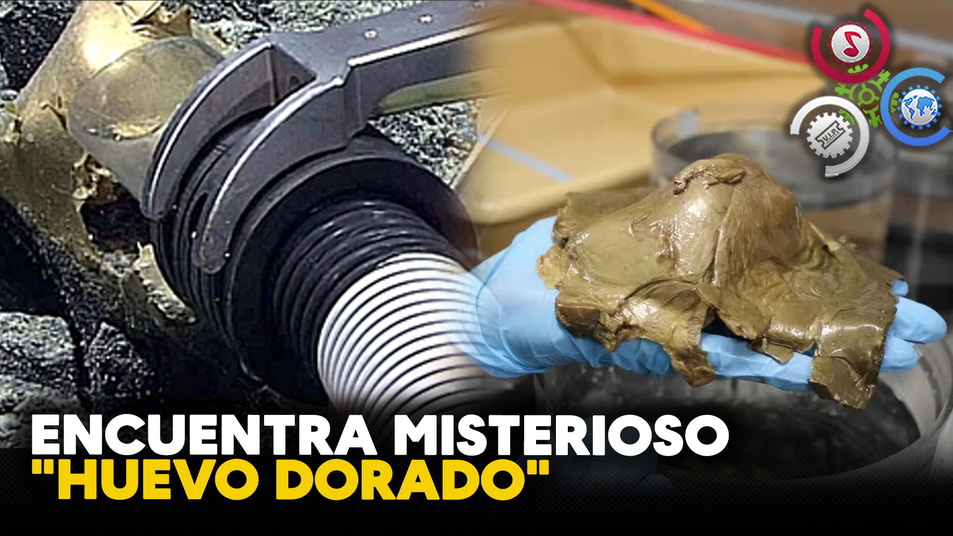 Encuentra Misterioso “HUEVO DORADO” En Profundidades Del Océano Pacífico