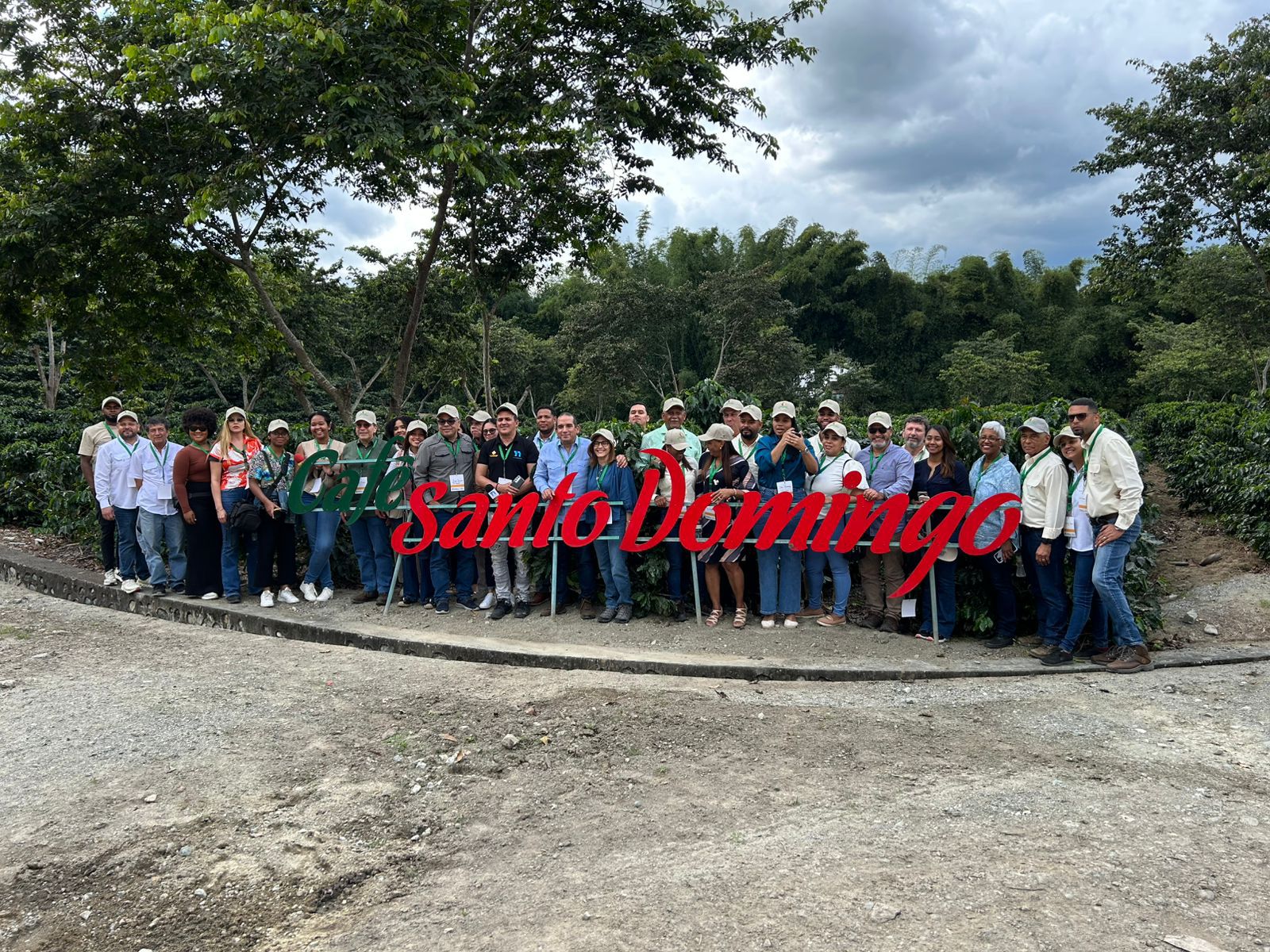 Café Creciente Impulsa Recuperación Del Sector Cafetalero Dominicano