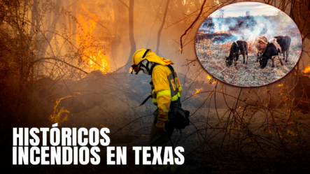 Imágenes De Los Históricos Incendios Forestales En Texas Por Condiciones Extremas
