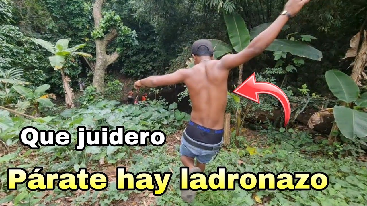 INCREÍBLE: BANDA DE ATRACADORES ACABAN EN LAS CALLES DE RD