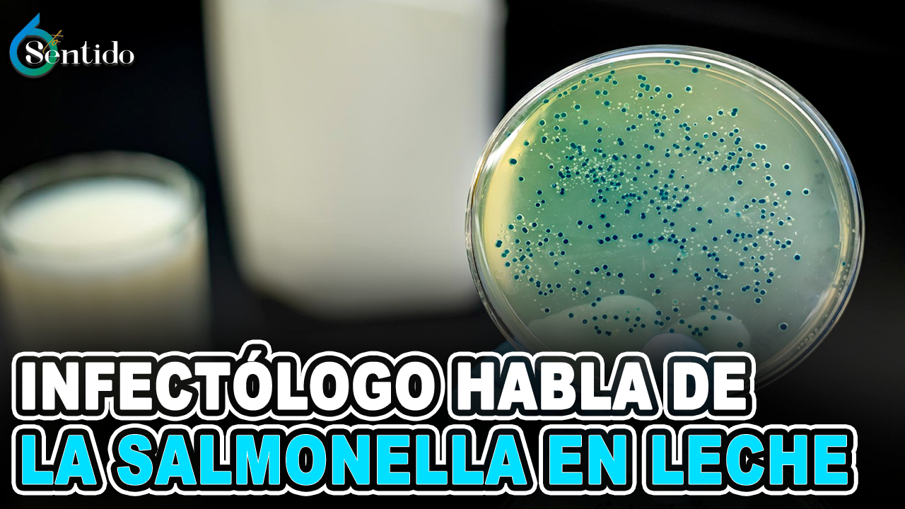 Infectólogo Habla Sobre La Salmonela En La Leche – 6to Sentido