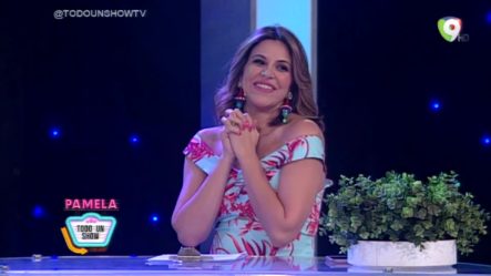 Iamdra Fermín Y Liza Blanco Nos Comentan Sobre Su Vínculo Maternal Con Sus Hijos – Pamela Todo Un Show