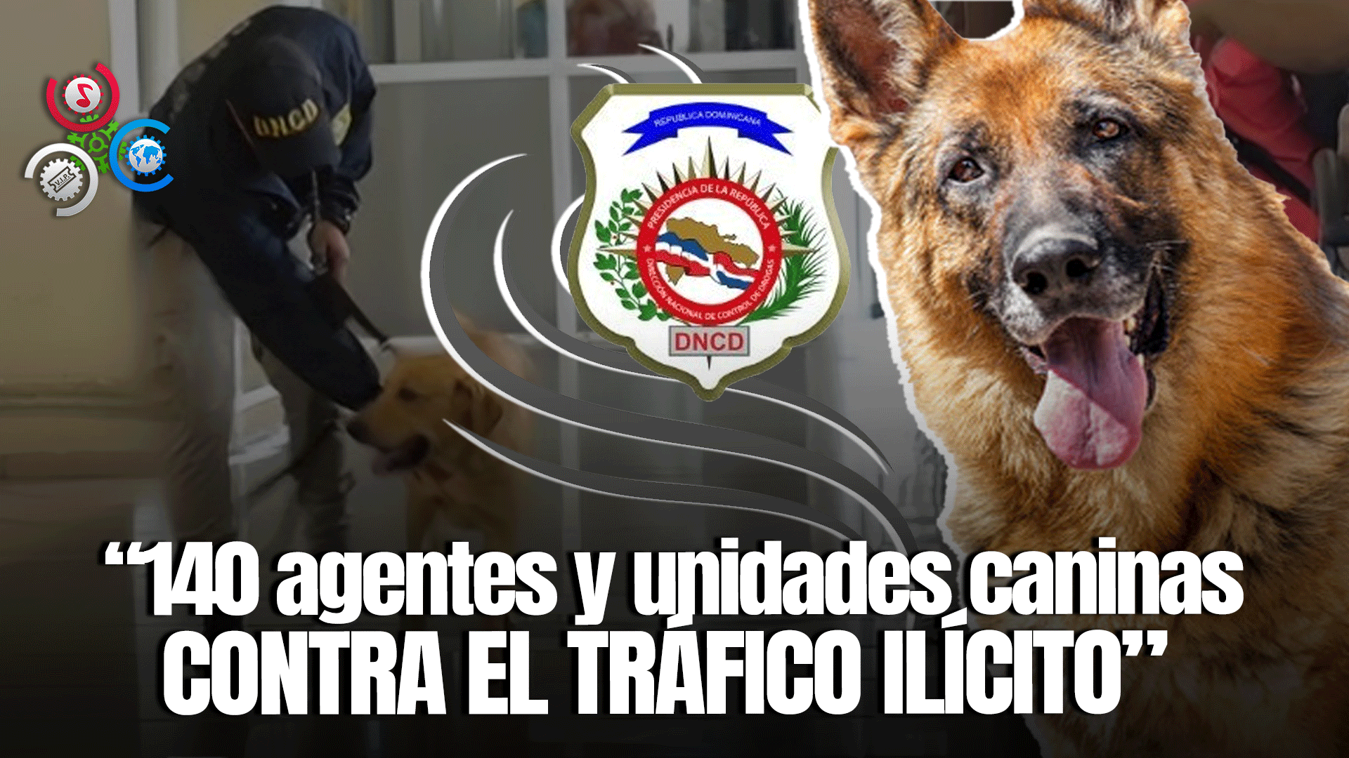 DNCD Amplía Agentes Y Unidades Canicas En Refuerzo De Aeropuertos Y Puertos Por Festividades