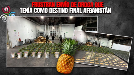 Incautan 121 Láminas De Presunta Cocaína Ocultas En Cargamento De Piñas En El AILA