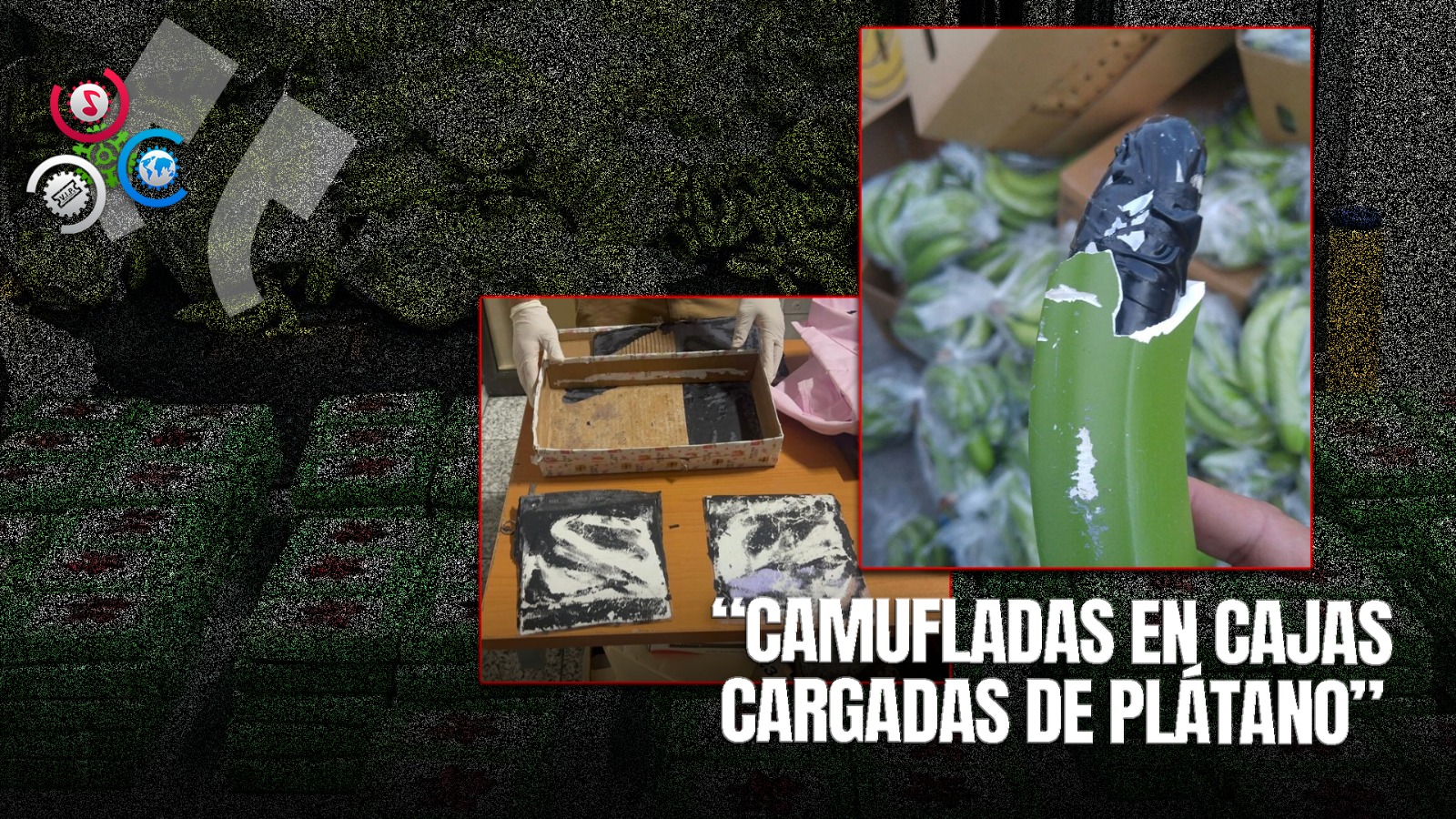 Incautan 663 Láminas De Sustancias Prohibidas Ocultas En Cajas De Plátano