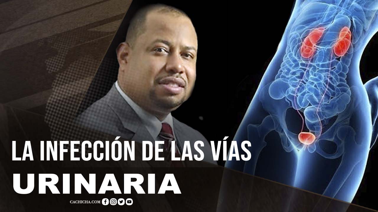 Razones De La Infección En Las Vías Urinarias